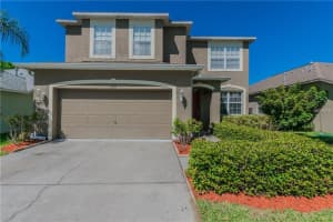 7739 Bingham Ct, TAMPA 7739 Bingham Ct, TAMPA