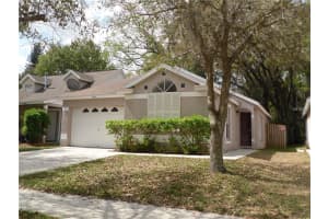 14944 Deer Meadow Dr, LUTZ