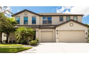 11807 Harpswell Dr, RIVERVIEW