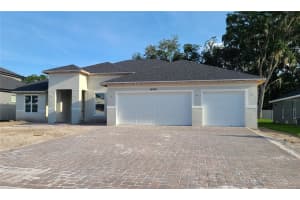 14106 Tomentosa Ave, RIVERVIEW 14106 Tomentosa Ave, RIVERVIEW