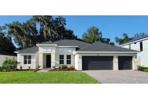 14114 Tomentosa Ave, RIVERVIEW 14114 Tomentosa Ave, RIVERVIEW