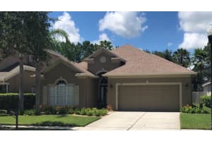 11247 Blacksmith Dr, TAMPA 11247 Blacksmith Dr, TAMPA