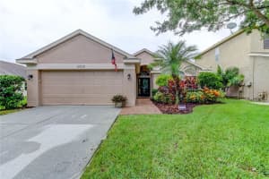 12218 Bishopsford Dr, TAMPA 12218 Bishopsford Dr, TAMPA