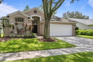 11906 Derbyshire Dr, TAMPA