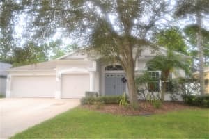 19012 Fern Meadow Loop, LUTZ