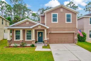 12211 Swaying Moss Cir, RIVERVIEW