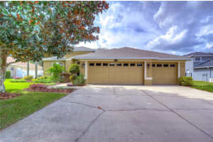 16504 Botancia Pl, LUTZ