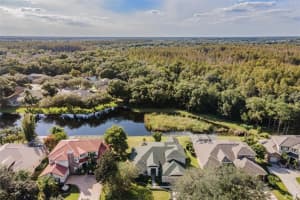 2123 Climbing Ivy Dr, TAMPA