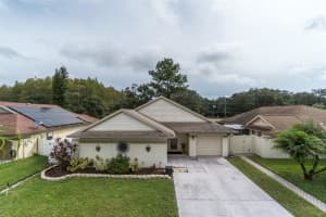 11911 Hickorynut Dr, TAMPA