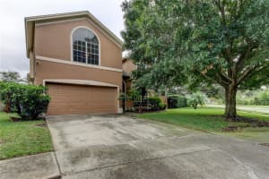 10292 Oasis Palm Dr, TAMPA