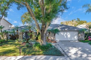 3318 Foxridge Cir, TAMPA