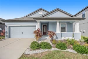 12031 Creek Preserve Dr, RIVERVIEW