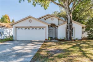 13536 Bellingham Dr, TAMPA 13536 Bellingham Dr, TAMPA