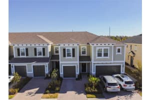 18642 Noble Caspian Dr, LUTZ