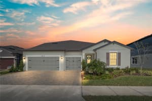 19113 Perennial Rose Ave, LUTZ