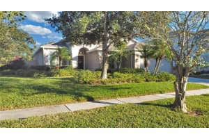 12819 Pacifica Pl, TAMPA