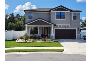 11251 Paddock Manor Ave, RIVERVIEW