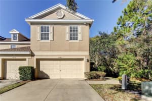 10146 Tranquility Way, TAMPA