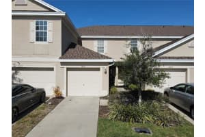 10037 Tranquility Way, TAMPA