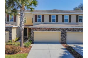 13125 Canopy Creek Dr, TAMPA 13125 Canopy Creek Dr, TAMPA