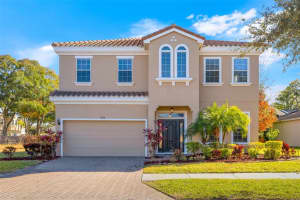 6938 Silver Sage Cir, TAMPA 6938 Silver Sage Cir, TAMPA