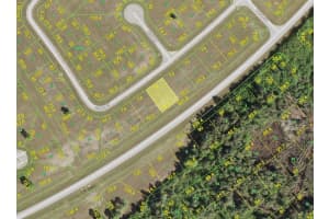 14241 Crackle Ct, PLACIDA