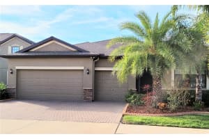 10019 Celtic Ash Dr, RUSKIN