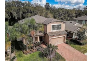 10410 Arbor Groves Pl, RIVERVIEW