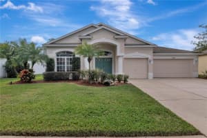 19046 Fern Meadow Loop, LUTZ