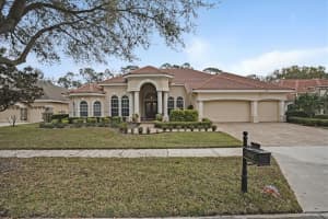 10007 Tree Tops Lake Rd, TAMPA