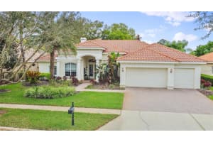 10717 Beagle Run Pl, TAMPA