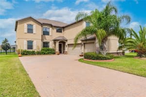 10038 Celtic Ash Dr, RUSKIN