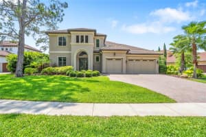 9602 Tree Tops Lake Rd, TAMPA