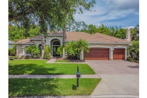 10714 Beagle Run Pl, TAMPA