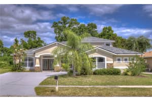 2809 Rolling Acres Pl, VALRICO