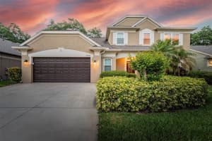 6005 Williamsburg Way, TAMPA