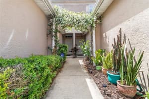 10006 Tranquility Way, TAMPA