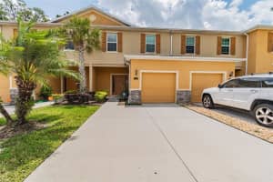 13828 River Fish Ct, TAMPA