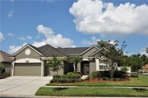 12928 Vicksburg Dr, TAMPA