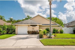 5921 Birchwood Dr, TAMPA