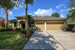 7833 Riverwood Oaks Dr, RIVERVIEW 7833 Riverwood Oaks Dr, RIVERVIEW