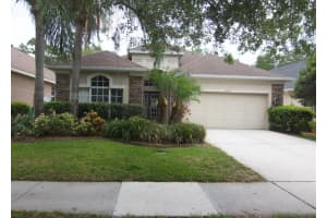11217 Blacksmith Dr, TAMPA 11217 Blacksmith Dr, TAMPA