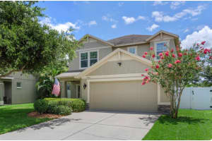 7716 Landcare Ln, TAMPA