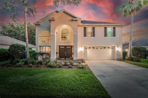 720 June Lake Ln, BRANDON