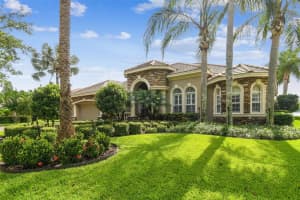 9706 Tree Tops Lake Rd, TAMPA