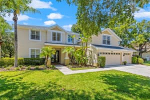 2123 Chestnut Forest Dr, TAMPA