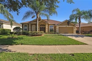 19113 Fern Meadow Loop, LUTZ