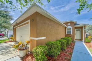 11813 Mango Cross Ct, SEFFNER
