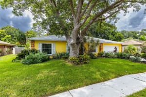 13308 Lake George Ln, TAMPA