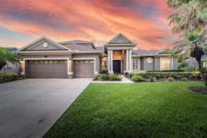 16506 Amberwind Ln, LUTZ